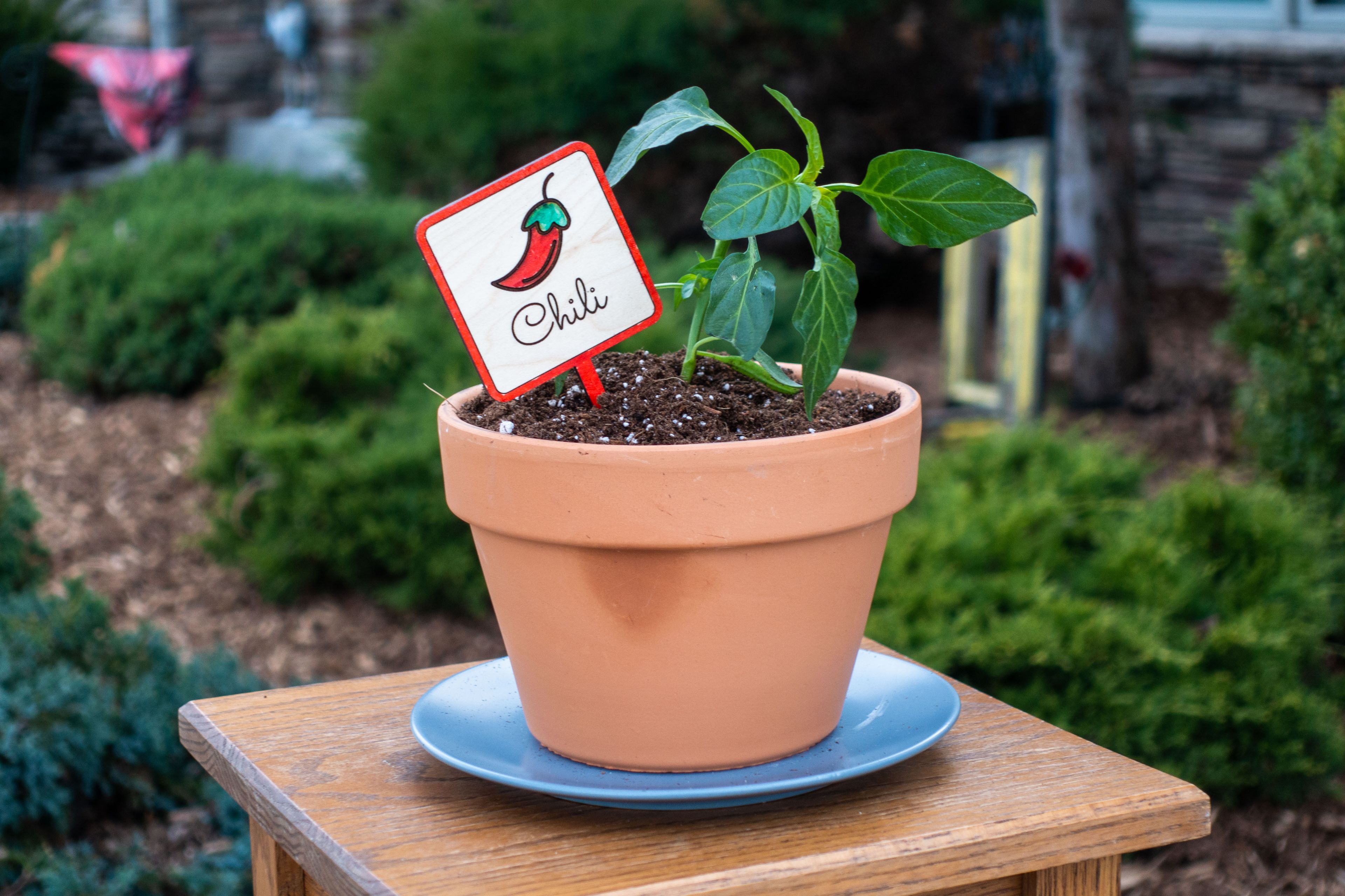 A finished garden stake inserted into dirt inside a plant pot