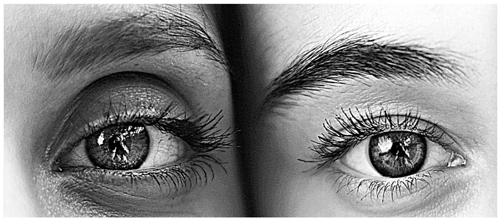 An image with a moderate amount of sharpening